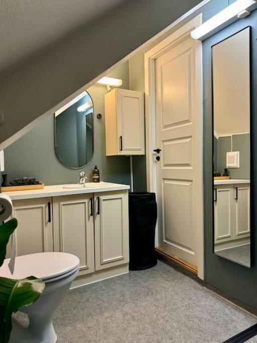 Urban Loftleilighet トロンハイム エクステリア 写真