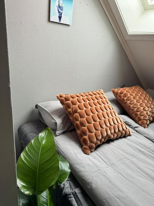 Urban Loftleilighet トロンハイム エクステリア 写真